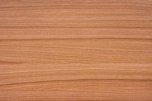 Veneer